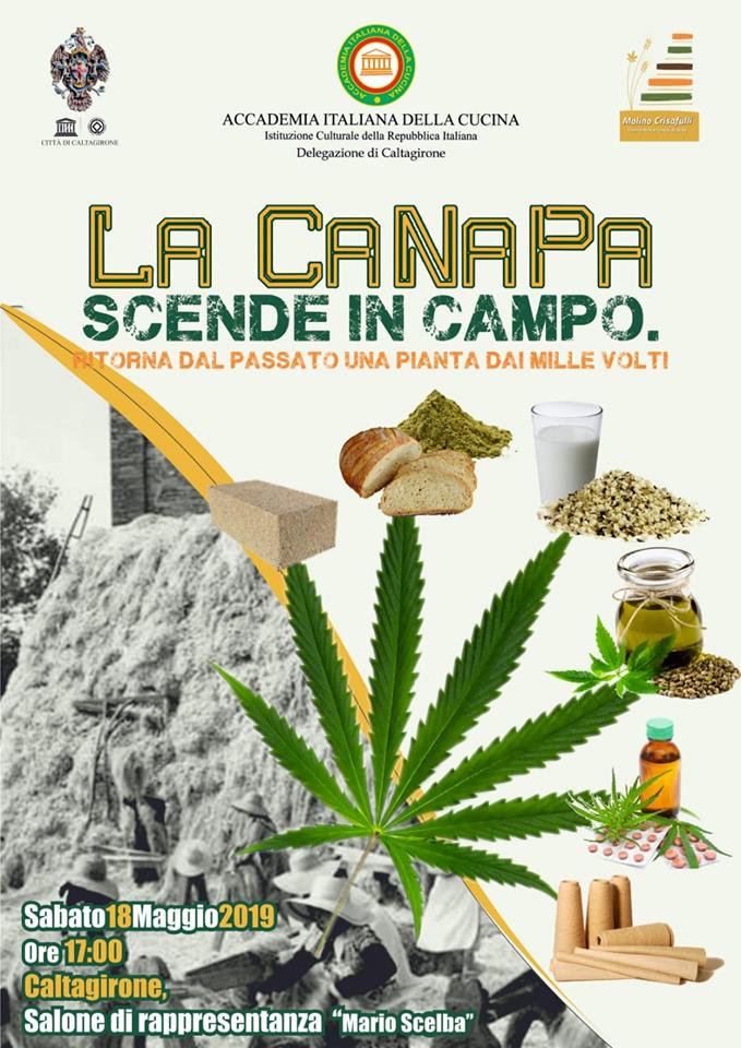 CANAPA CALTAGIRONE: MAG18 La Canapa Scende In Campo